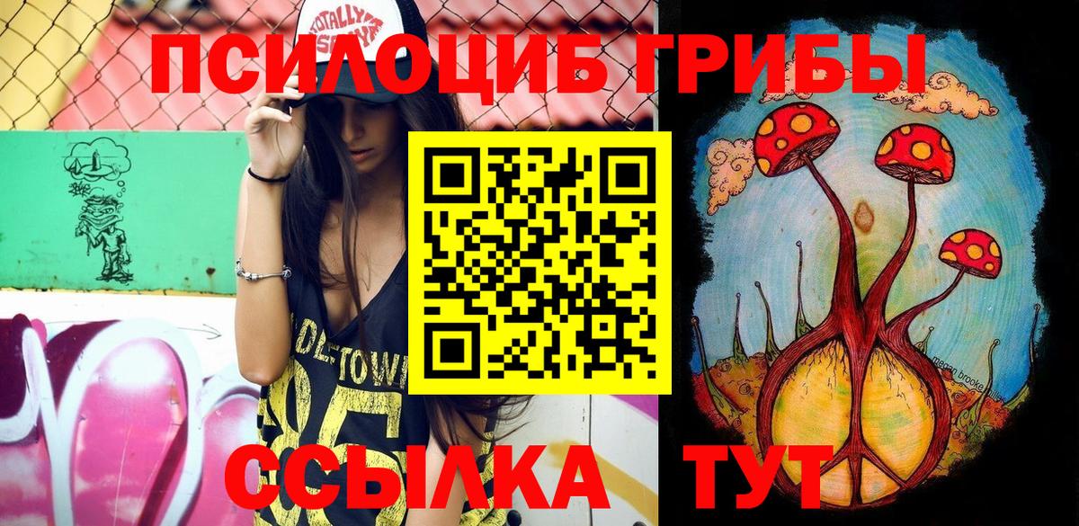 Псилоцибиновые грибы мицелий Пугачёв