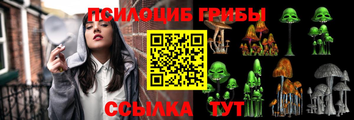 что такое   Вход с VPN  Пугачёв  Псилоцибиновые грибы мухоморы 